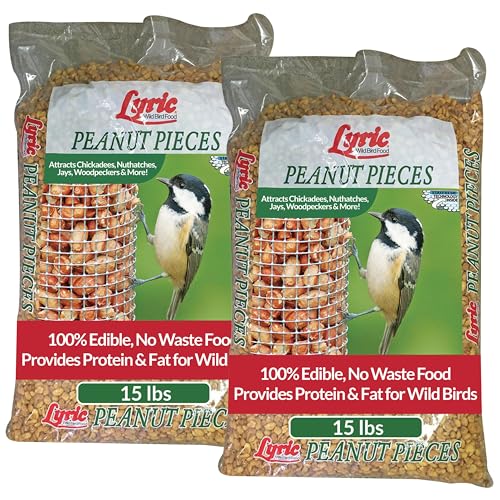 Lyric Peanut Pieces Wild Bird Seed - Shelled Peanuts Wild Bird Food for Outside Feeders - 30 lb (Pack of 2-15 lb Bags)