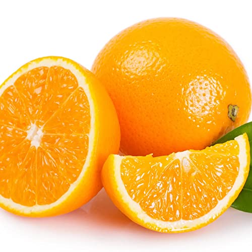 Qauzuy Garden 10 Washington Navel Orange Seeds Non-Gmo Delicious Sweet Fragrant And Seedless Fruits Citrus Sinensis Easy Care Plants For Garden Home #TOP24