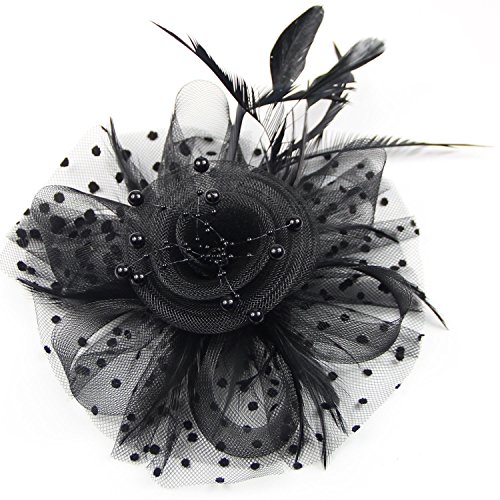 Feiyu Crafts Penny Mesh Hat Fascinator With Mesh Ribbons And Black Feathers (A-Black) #TOP1