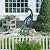 TERESA'S Collections Outdoor Decor Peacock Yard Art Garden Sculptures & Statues,Blue Small Metal Bird Lawn Ornaments,22.4" Outside Mardi Gras Decorations for Porch,Patio,Pond Decor,Gifts for Mom