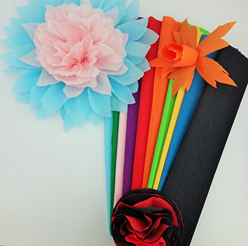 ZealwithaFish Crepe Paper 10 Flower Making Art Projects Crepe Paper
