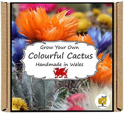 Grow Your Own Flowering Cactus Plant Growing Kit. Gardening Gift for Men, Women or Kids.