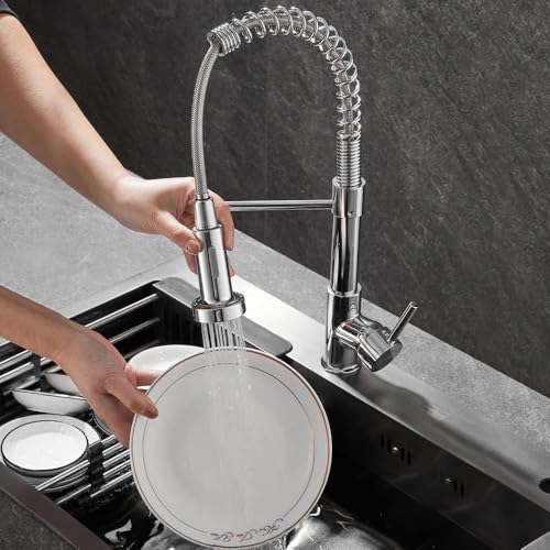 Stanew Küchenarmatur mit 360° schwenkbarer Brause Wasserhahn Küche mit Feder 2 Sprühmodi (Silber)