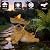 Glintoper Solar Garden Statue Dog Figurine, 8.7" Outdoor Resin Puppy Whimsical Lawn Porch Yard Art, Birthday Mothers Day Ideal Gifts, Lighted Shar Pei Ornaments for Patio Pathway Yard Decoration ?