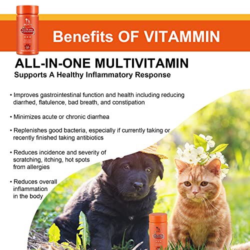 Multivitamin For Dogs And Cats, 200 Soft Chews, Dog Multivitamin For Skin And Coat Health, Joint Health, Improved Digestion, Antioxidants, Support A Healthy Immune System #TOP3