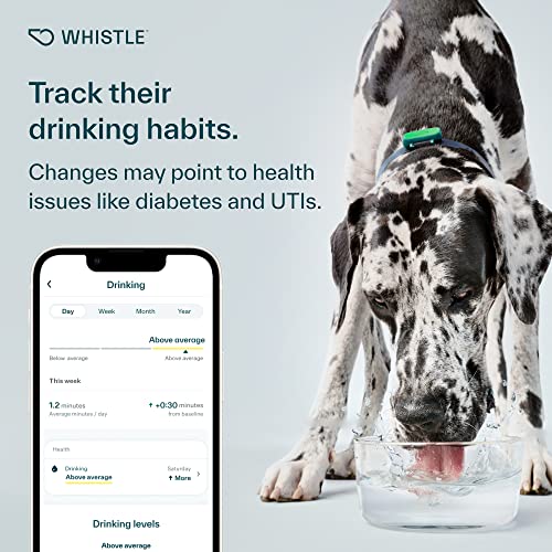 Whistle Health Smart Device | Dog Health and Fitness Tracker | Track Scratching, Licking, Drinking, Eating, Sleeping, and Activity, Green - Thumbnail 4