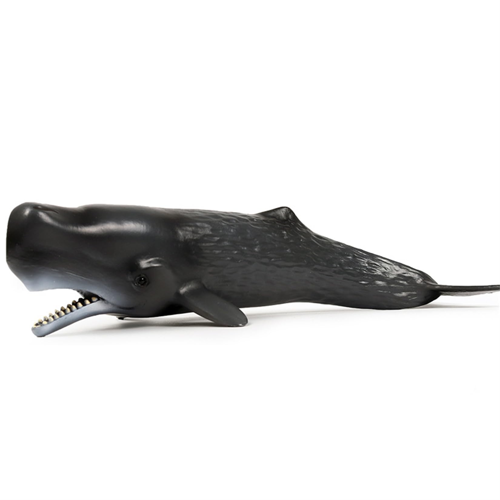 Amazon | EUHELOPA マッコウクジラ フィギュア 24cm級 鯨類 海洋動物