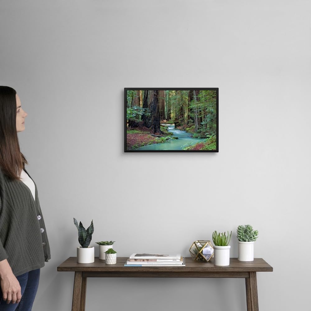 CANVAS ON DEMAND Redwood Forest II Black Float Framed Canvas Wall Art Print by Rita Crane, Home Decor, Nature Artwork, 18" x12in
