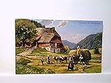  AK Schwarzwald, Heuernte im Schwarzwald, Künstlerkarte, Personen,Heukarre,Ochsen, Ungelaufen.