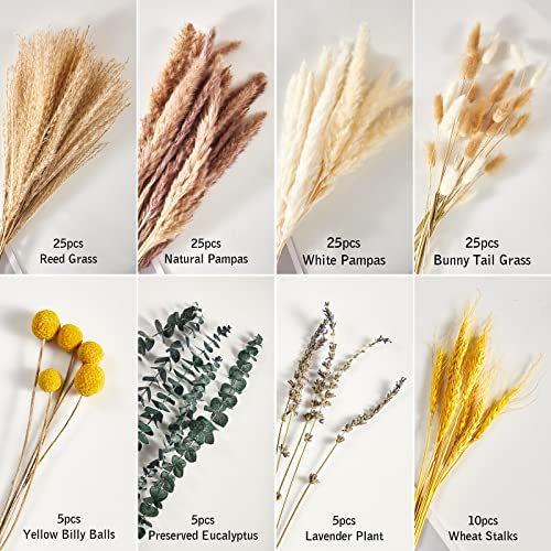 Pampas Grass Decor,125 Pcs Mixed Flowers Bouquet With 8 Kinds Of Dried Plants Branches,Vase Filler With Fluffy Pompas Floral Arrangements,For Boho Home Room Wedding Fall Decorations,17'' Inches Tall #TOP1