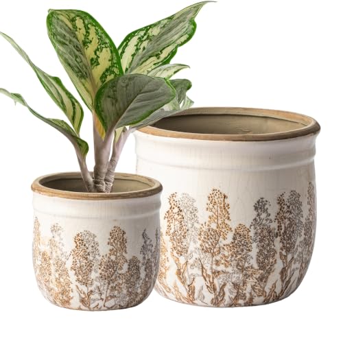 SURE YUESI Ceramic Plant Pots Set of 2, 4.7+5.7 Inch Vintage Indoor Planters with Drainage Hole, Farmhouse Ceramic Flower Pots for Indoor Plants, Rustic Cottage Decor for Home Kitchen Garden, Brown