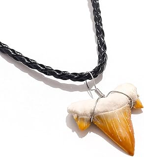 Shark Tooth Necklace for Boys, Fossil Shark Teeth Jewelry Surfer Necklace, Leather Cord Shark Necklace for boys, Shark Teeth Necklace With Box, Cool Beach Necklaces for Men