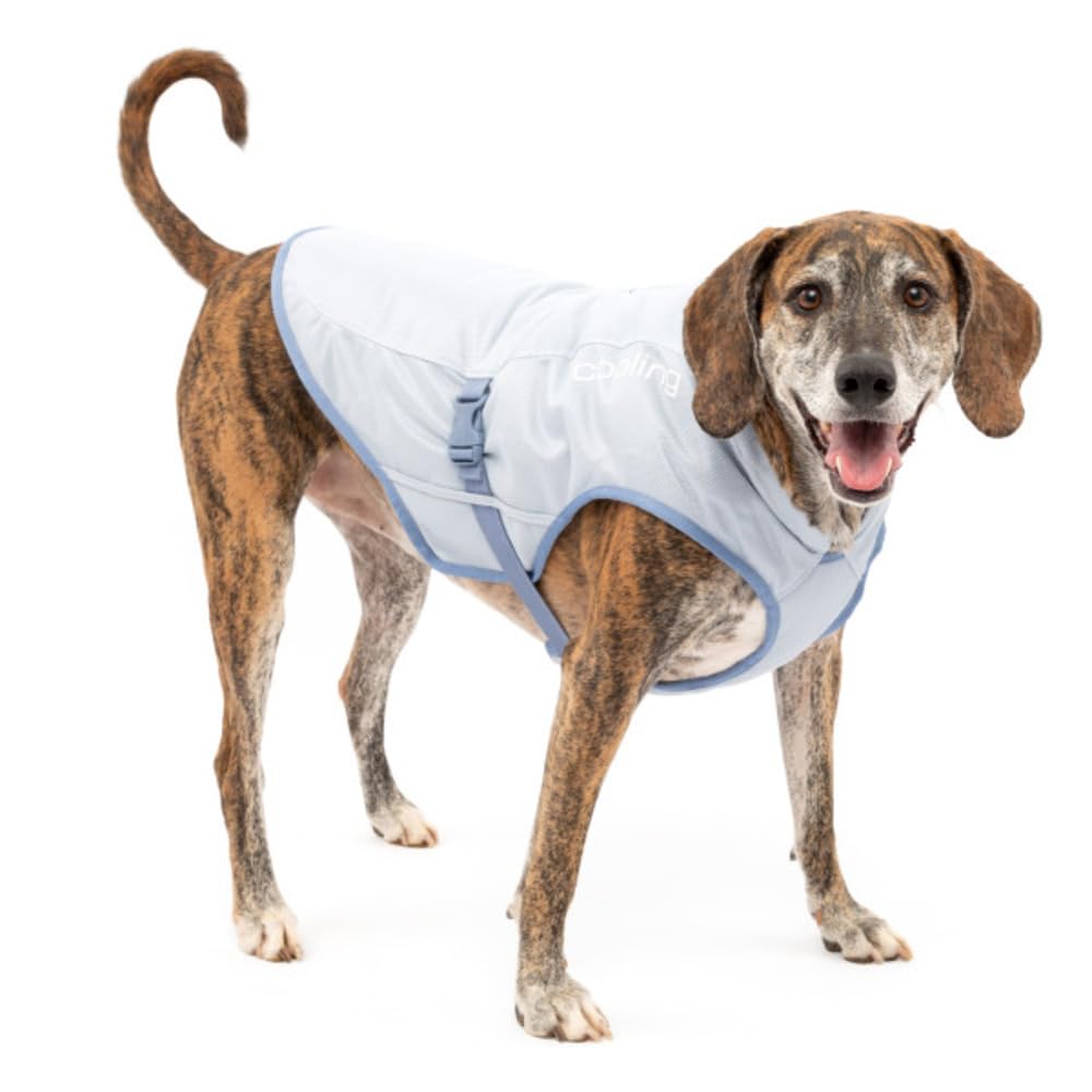 Kurgo Hundekühlweste - Sommer-Kühljacke - Hundemantel kompatibel mit Geschirr - Reflektierende Akzente - Grau - L