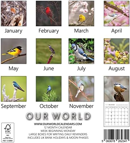 Our World Songbirds Wall Calendar 2023 - Family Planner & Daily Organiser with Monthly US Songbird Calendar Image - Bird Gift, Christmas Stocking Filler & Slim Design 2023 Wall Planner