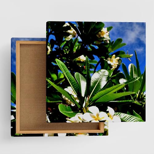 �� �A�� �A�[�g�p�l�� 100cm × 100cm XL�T�C�Y ���{�� �|�X�^�[ ������� �C���e���A �͗l�ւ� ���r���O ���� �� ���R ���i �t�@�u���b�N�p�l�� pho-0059-XL