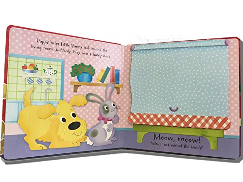 Fun with Pets: A Pop-Up Book