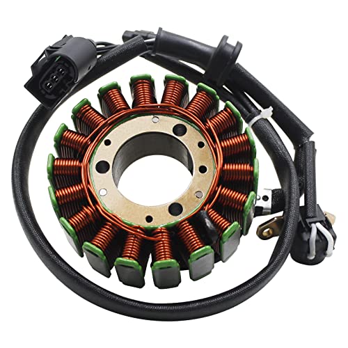 Road Passion Motorcycle Magneto Generator Stator Coil Replacement for BMW G310GS G310R All years