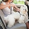 Comfortable Dog Seat Belt Harness for Car