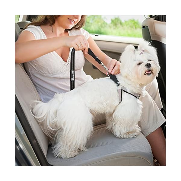 Comfortable Dog Seat Belt Harness for Car