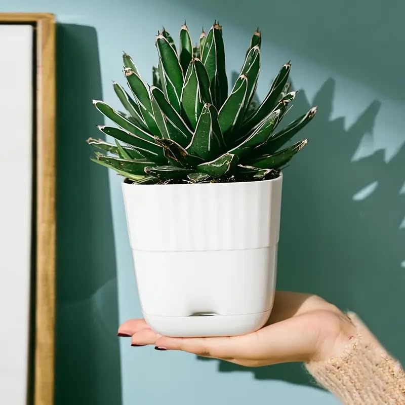 Image of StyleX Store Pack of 5 Self Watering Flower Pot, Indoor Outdoor Modern Plant Pot with Integrated Water Tray for Home Balcony Garden Office, Square Decorative Pot for Plants Succulents Herbs (White)