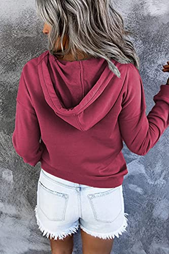 Neyouqe Zip Up Cute Red Winter Polyester Hoodies For Women Oversized Womens Long Winter Coats Cute Winter Outfits Winter Fashion For Women 2022 Red Blouse Workout Vintage Sweatshirts Size Xxl #TOP4