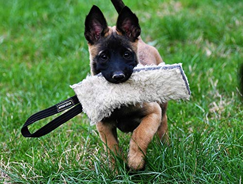 Dingo Gear Beisswurst mit einem Griff Schafe Wolle Plush Naturfarbe 15 cm x 6 cm Apport Training mit Hund S00427