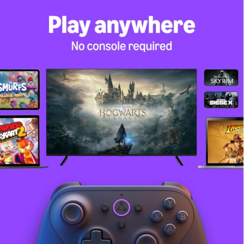 Image of Official Luna Wireless Controller