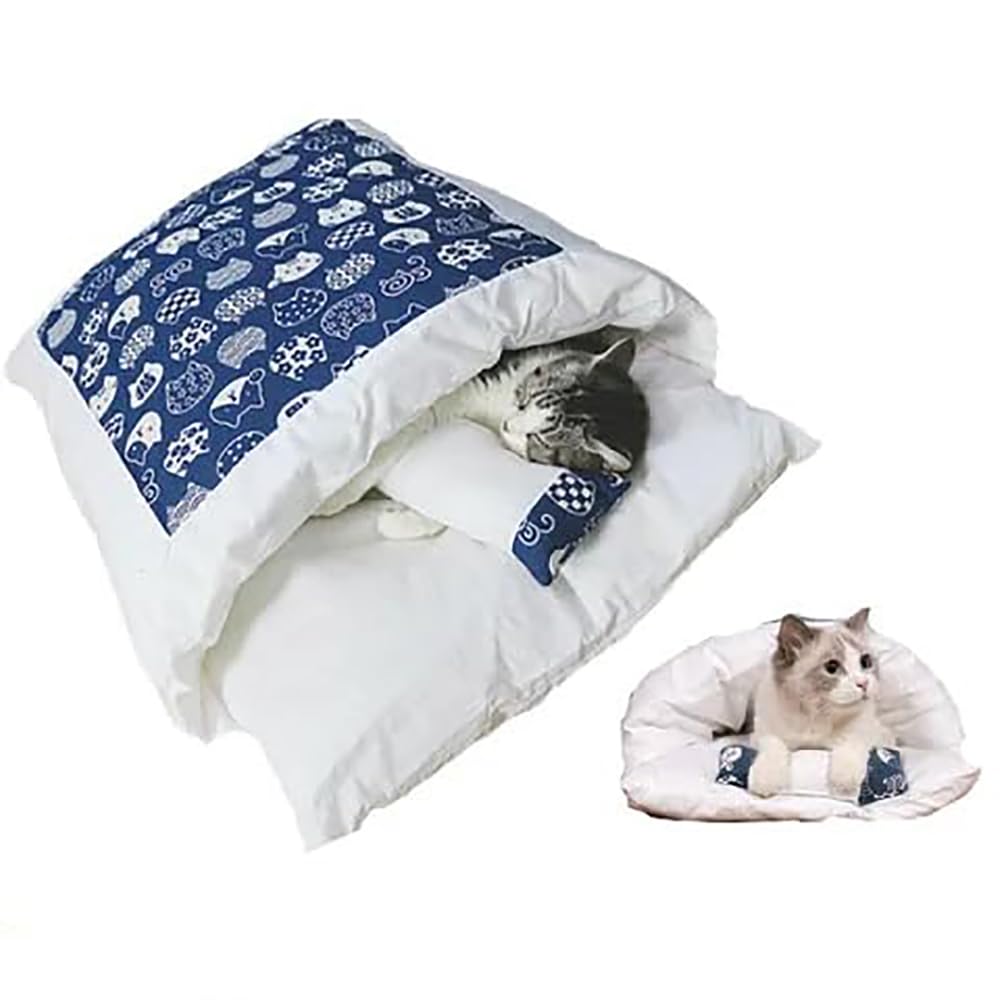 株立ち・美白斑点模様】アオダモ B1 【茨城直接引渡し可】