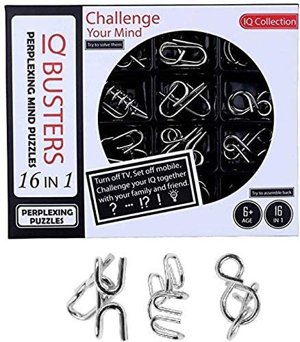 BestBuyToy Metal Puzzles Brain Teaser Set IQ Busters perplexing Mind puzzels for Kids Adult Challenge 16 PCS (Pattern May Vary)