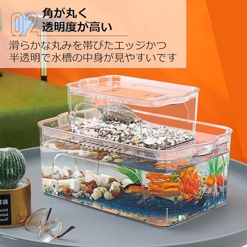 Asdays 金魚鉢 水槽 メダカ 金魚 飼育 大容量 アクアリウム 観葉植物 インテリア 容器 ボウル プラスチック 透明 (大:36×26.5×15.5cm) の商品画像 3