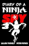 Diary of a Ninja Spy 3: Ninja Ghost Attack!