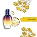 L'Occitane Immortelle Overnight Reset Oil-in-Serum for a More Youthful and Rested Complexion, 1 Fl Oz