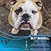 Bissell Pet Hair Eraser 1650A Upright Vacuum with Tangle Free Brushroll