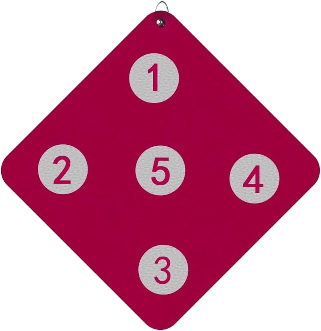 Fencing Target Fencing Training Equipment Target for Saber Foil and Epee with Five Bullseye for Home and Fencing Club