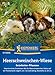 Produktbild Kiepenkerl Meerschweinchen-Wiesensamen Grünfutter-Pflanzen 1073600 - Vitaminreich - Grünfutter Mix - 20cm - ein- bis mehrjährig - Saatgut, Pflanzensamen