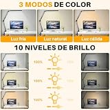 Mejores precios y opiniones de Lampara de luz los más solicitados. 3 Mejores precios y opiniones de Lampara de luz los más solicitados. 3