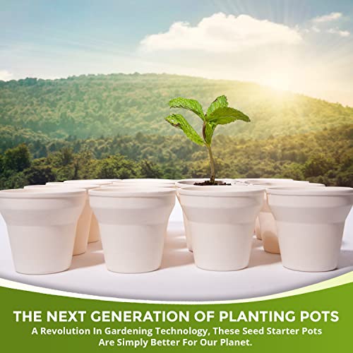 EverECO Vasos de plantas biodegradáveis Americas de 9 cm (pacote com 16): Kit de sementes ecologicam