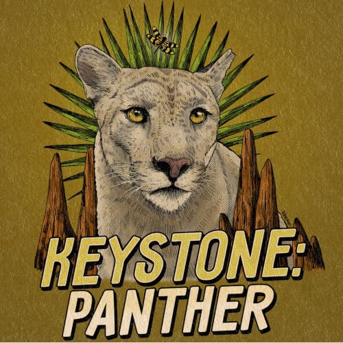 『Keystone: Panther』のカバーアート