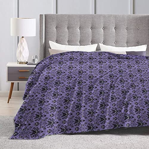 Couverture polaire Haunted Mansion en microfibre douce et légère pour le lit ou le canapé du salon
