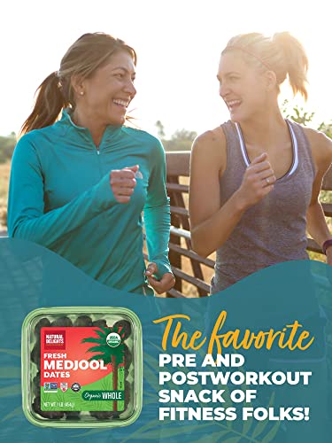 Natural Delights Organic Medjool Dates – Large & Plump USDA Certified , Non-GMO Verified, Good Source of Fiber, Naturally Sweet Fruit Snack, Perfect for On-the-Go - Whole Medjool Dates Organic, 1 lb oz Container