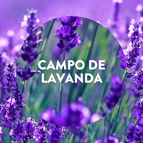 Air Wick Pack de 2 Recambios para Ambientador Eléctrico con aroma a Lavanda, infusionado con 2 veces más aceites esenciales - imagen 14
