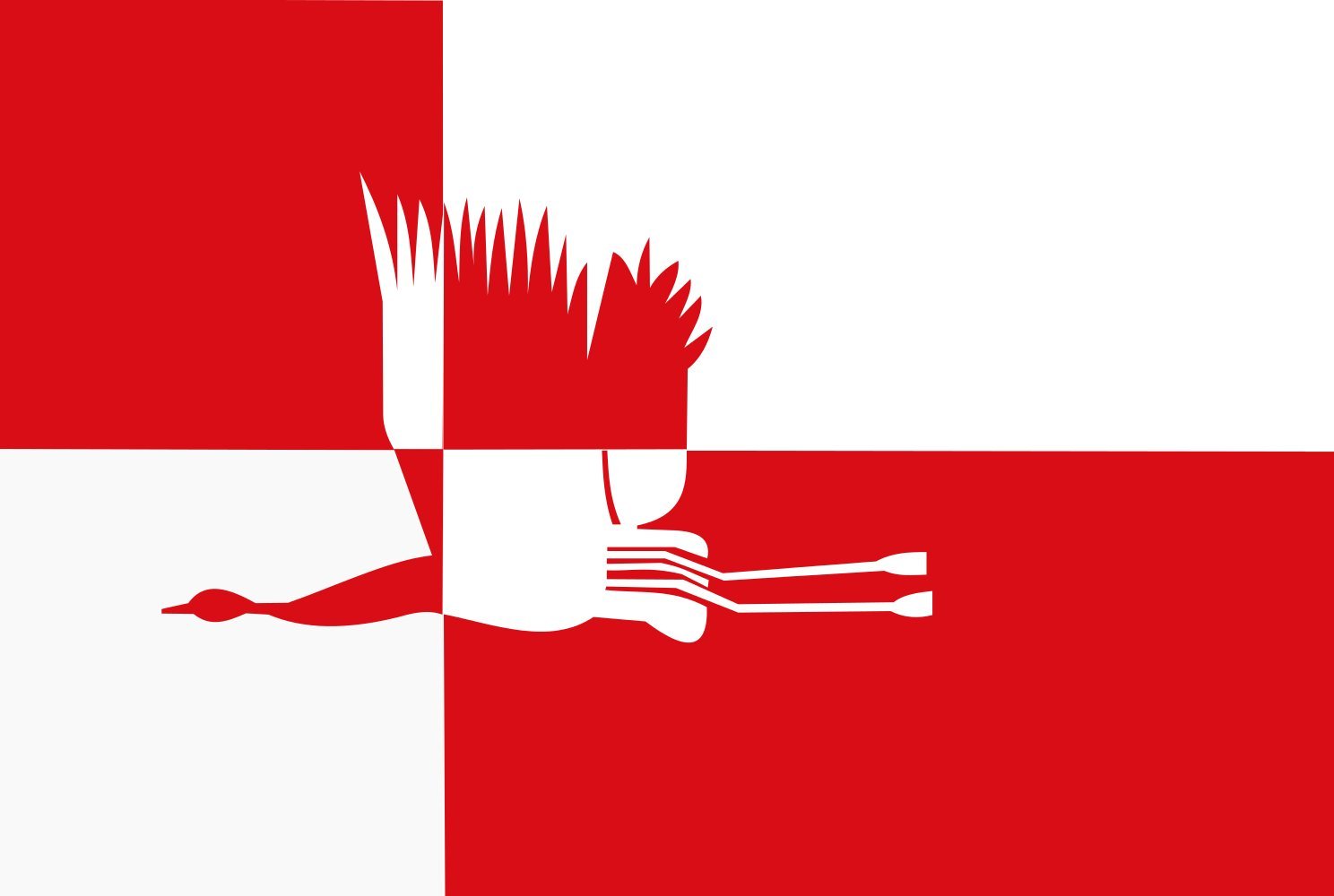 Drapeau Cranendonck 150x225 cm grand format pour pavoisement municipal de collectivité