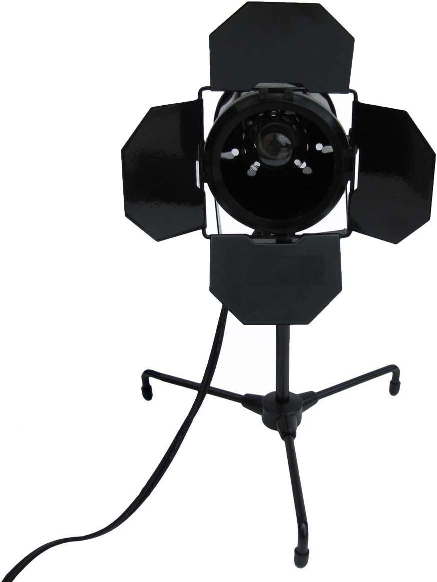 Treasure Gurus Mini Stage Performance Flood Light Film Set Table Desk Lamp Theatre Party Spotlight Decor