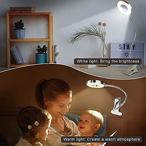 W-Lite 6W Led Usb Reading Clip Laptop Lamp For Book,Piano,Bed Headboard,Desk, Eye-Care 2 Light Color Switchable, Adapter Included, Aluminum, Silver #TOP2