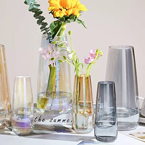 Funsoba Clear Glass Bud Vase Set Of 6 - Small Vases For Flowers, Cute Glass Vases For Centerpieces (Clear) #TOP7