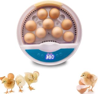 9 Eggs Incubator Mini Home Poultry Hatcher with LED Light Egg Candler Tester and Temperature Control for Chicken Duck Bird Quail