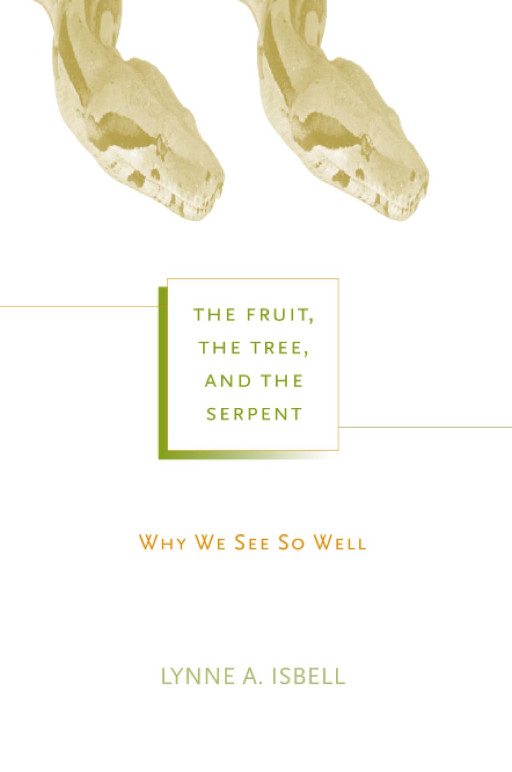The Fruit, the Tree, and the Serpent: Why We See So Well