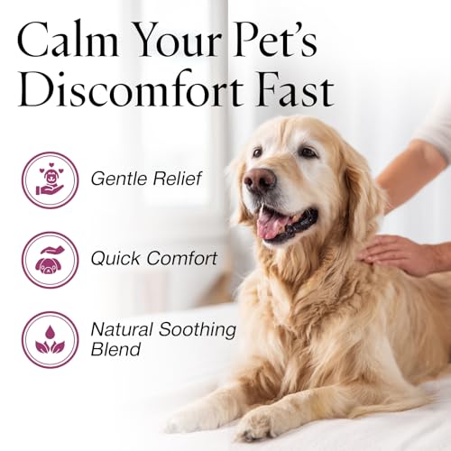 Jax n Daisy Dog Shampoo and Lotion Bundle, Gentle Formula for Sensitive Skin and Puppies, Odor Fresh Grooming Care Set, Includes Shampoo Bottle and 16oz Lotion