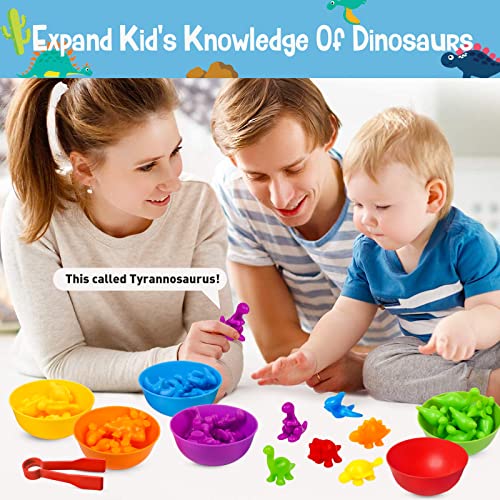 Counting Dinosaurs Color Sorting With Rainbow Bowls For Kids, Sensory Training & Counting Activity, Montessori Preschool Education Learning Math Sorting Toys Sets Gift For 3-5 Years Old Boys Girls #TOP5