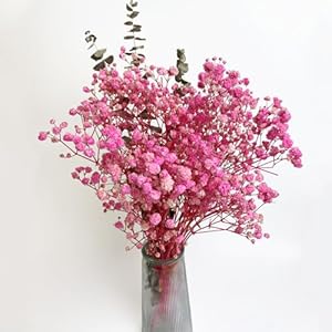 L’BREVOGA Dried Flower Bouque...